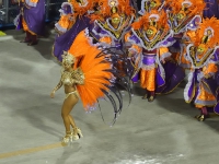 Самбадром 2013. Рио-де-Жанейро. Карнавал. Carnival 2013. 5