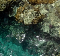 Red Sea, Eilat - Almog beach