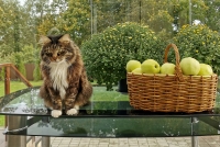 Будкин, с днём рождения!