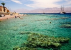 Коралловый Эйлат. Coral Eilat.