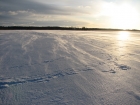 Поземки