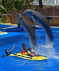 Дельфины и дети. Dolphins and childrens.