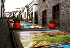 Paseo de Canarias. F...