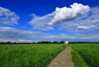 Дорога к Храму. Церковь Покрова на Нерли. Road to the Temple. Church of the Intercession on the Nerl.