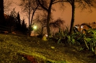 ha-Nurit street, at night-03