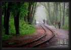 Туманным утром 02,05,2008